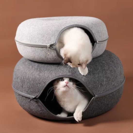 niche chat forme ovale