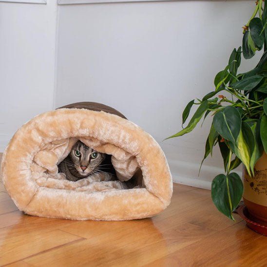 niche chat forme sac