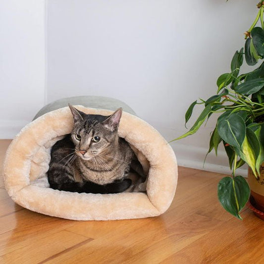niche chat sac de couchage