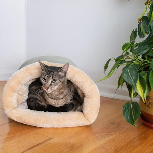 niche chat confortable douce