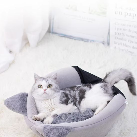 niche pour chat robuste
