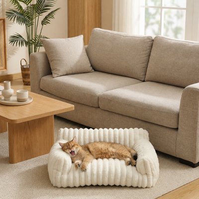 Panier Chat coloris blanc forme canapé avec un chat beige endormi