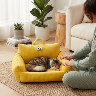 Panier Chat jaune avec yeux décoratifs femme assise