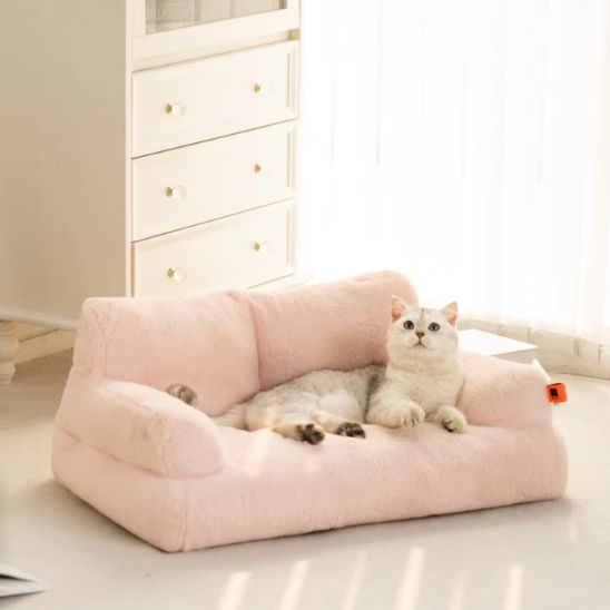 panier chatons beige