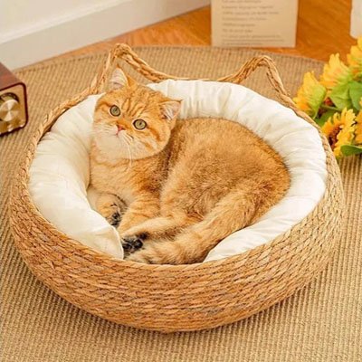 panier osier chat beige