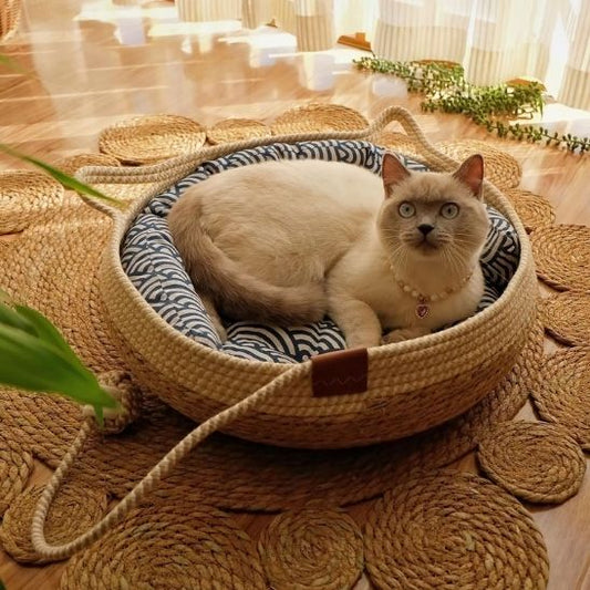 panier osier chat coussin bleu