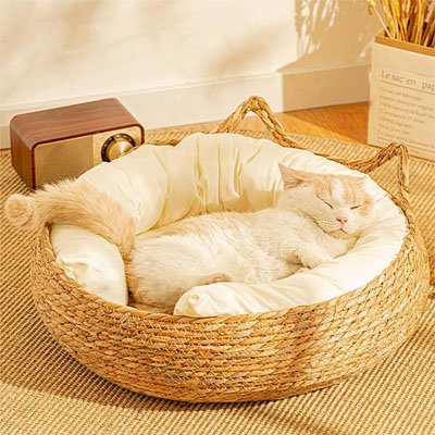 panier osier chat robuste