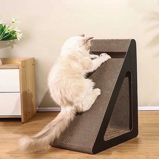 chat joue griffoir chat balle integre