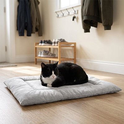 Tapis Chat rembourré gris avec chat assis dans un intérieur épuré