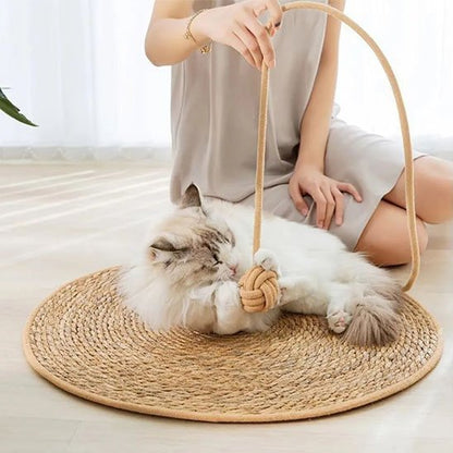 Tapis griffoir chat forme circulaire