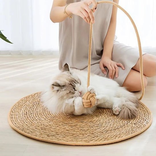 Tapis griffoir chat forme circulaire