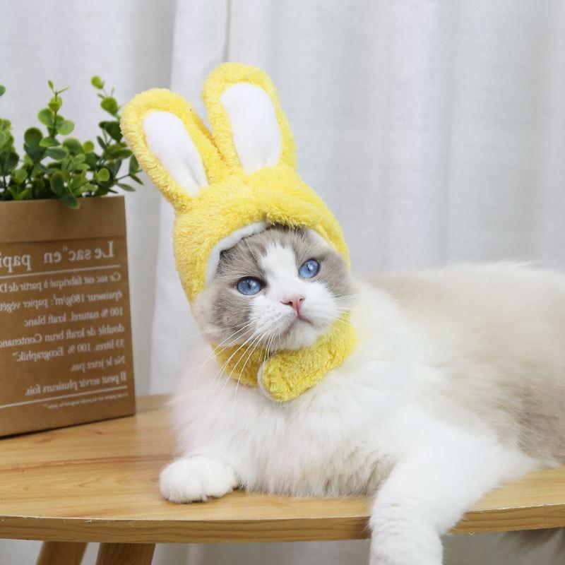 RabbitHat™ - Accessoire de déguisement pour chat - Chatcharme