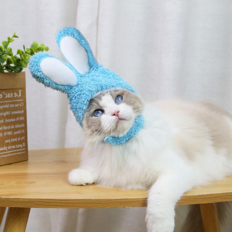 RabbitHat™ - Accessoire de déguisement pour chat - Chatcharme