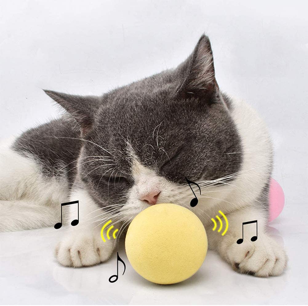 SmartBall™ - Balle intelligente d'apprentissage pour chat - Chatcharme